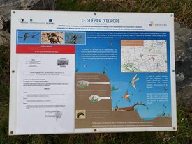 Panneau d'information